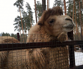 На благоустройство&hellip;